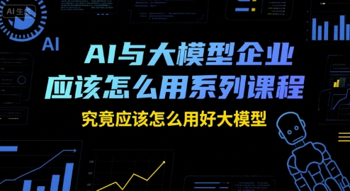 AI与大模型企业应该怎么用系列课程，究竟应该怎么用好大模型-800资源网