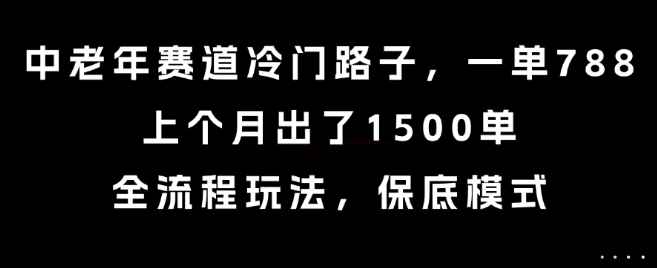 中老年赛道冷门路子，一单788，上个月出了1500单，全流程玩法，保底模式-800资源网