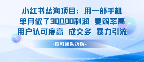 小红书蓝海项目，一部手机单月做了3W利润，小白也能月入过1W用户认可度高成交多-800资源网