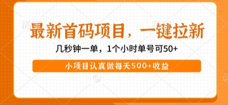 最新首码项目，操作最简单，收益高，一键拉新，1个小时单号可50+，小项目认真做每天5张+收益-800资源网
