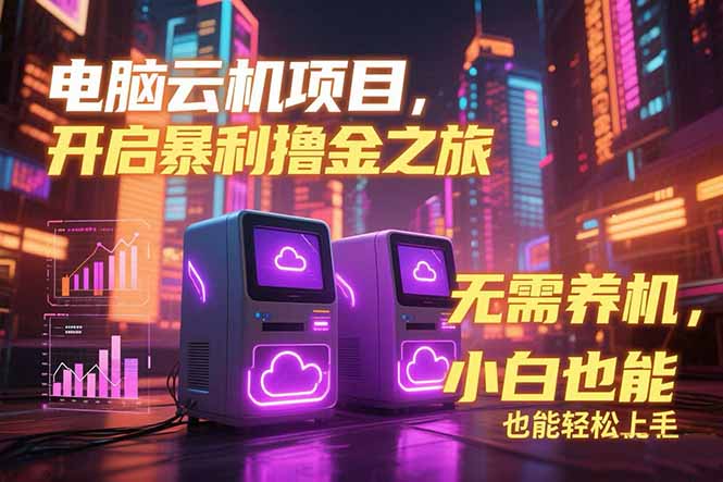 电脑云机项目 暴力撸金玩法，不需要养机 配置没有要求 单机100个窗口一…-800资源网