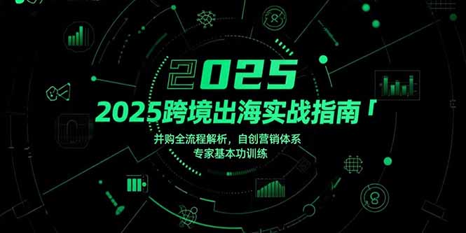 2025跨境出海实战指南，并购全流程解析，自创营销体系，专家基本功训练-800资源网
