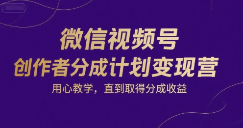 微信视频号创作者分成计划变现营，用心教学，直到取得分成收益-800资源网