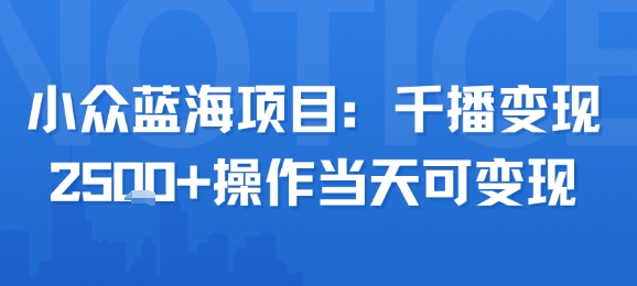 小众蓝海项目，千播变现2.5k+操作当天可变现-800资源网