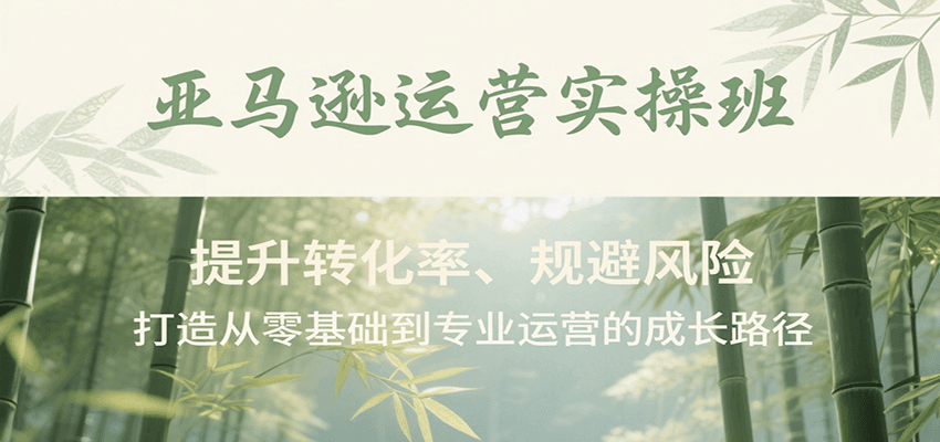 亚马逊运营实操班，提升转化率、规避风险，打造从零基础到专业运营的成长路径-800资源网