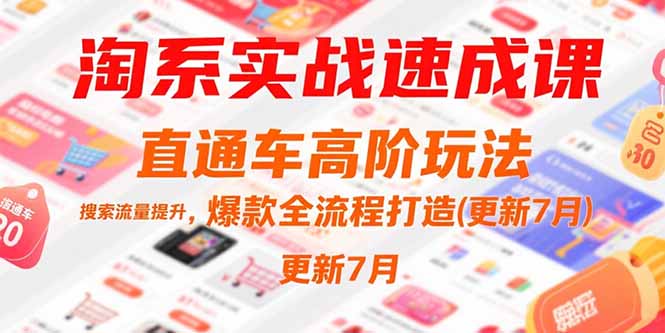 淘系实战速成课，直通车高阶玩法，搜索流量提升，爆款全流程打造(更新7月)-800资源网