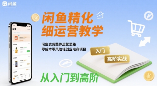 闲鱼精细化运营入门+高阶实战教学，闲鱼卖货整体运营思路，零成本零风险轻创业电商项目-800资源网