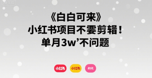小白可来 小红书项目不需要剪辑 单月3w不是问题-800资源网