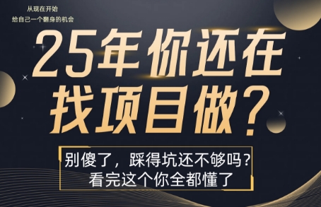 25年，你还在疯狂的找项目吗？别傻了，看完这个你都懂了-800资源网