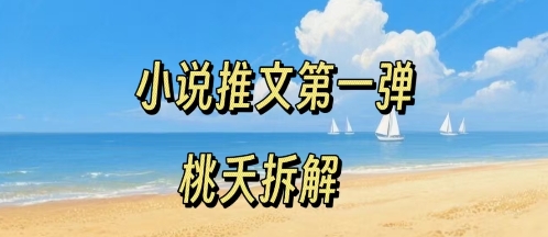 小说推文项目操作全流程第一弹，0粉就能做，门槛低非常适合新手-800资源网