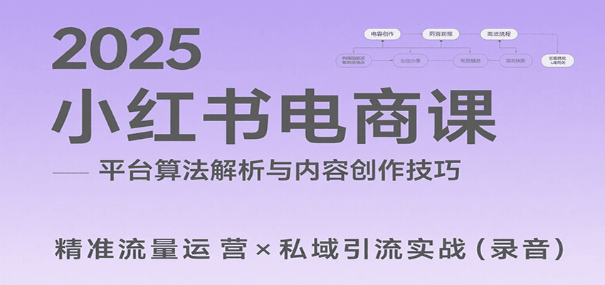2025小红书电商课：解析算法，创作高转化内容，助力卖家获取流量实现变现（录音）-800资源网