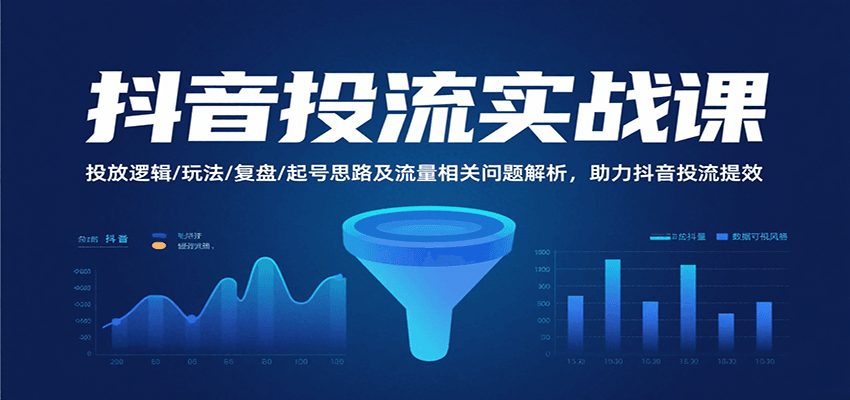 抖音投流实战课，投放逻辑/玩法/复盘/起号思路及流量相关问题解析，助力抖音投流提效-800资源网