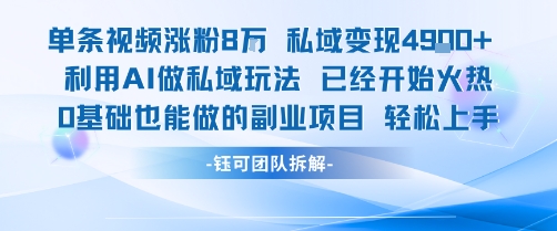 单条视频私域变现4.9k+利用AI做私域玩法 已经开始火热0基础也能做的副业项目轻松上手-800资源网
