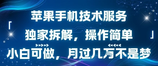 苹果手机技术服务，独家拆解，操作简单，小白可做，月过1W不是梦-800资源网