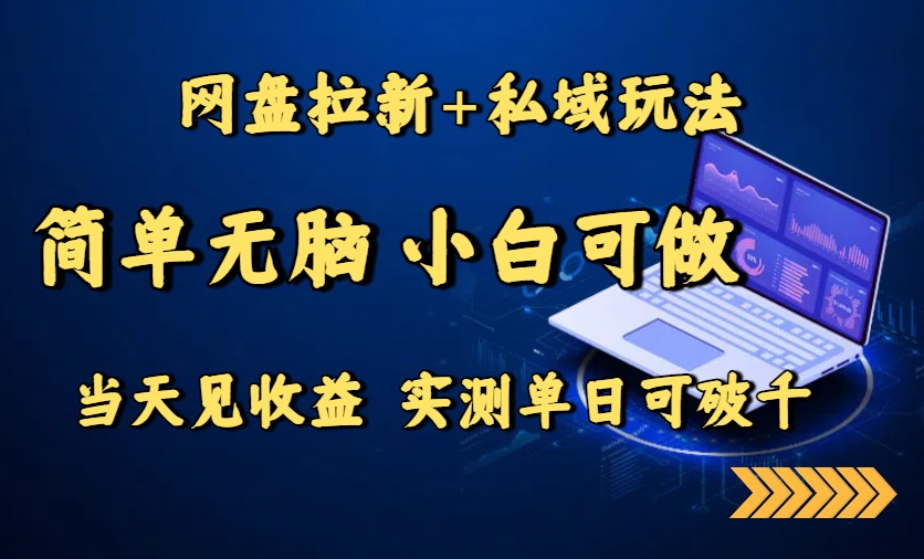 网盘拉新+私域玩法，简单无脑，小白可做，当天见收益，实测单日可破千-800资源网