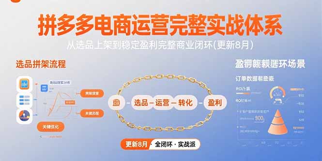 拼多多电商运营完整实战体系，从选品上架到稳定盈利完整商业闭环(更新8月)-800资源网