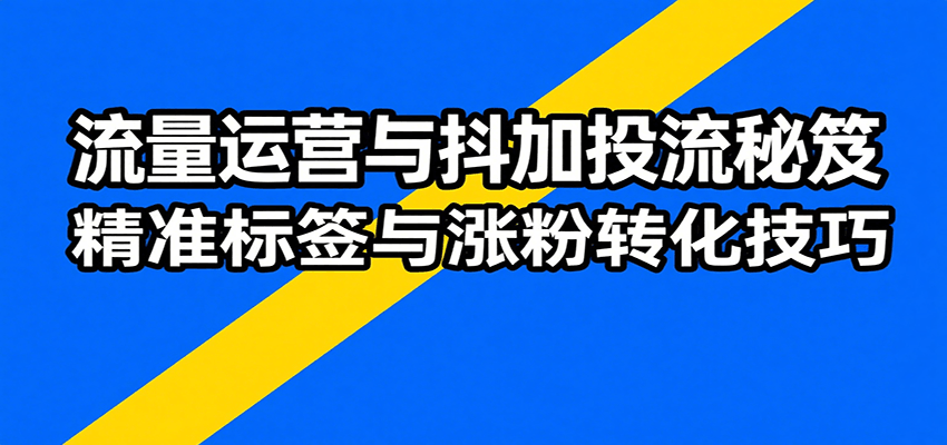 流量运营与抖加投流秘笈，含算法解析、爆款打造、精准标签与涨粉转化技巧-800资源网
