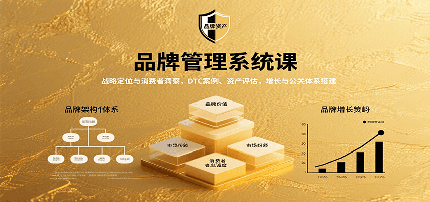 品牌管理系统课：战略定位与消费者洞察，DTC案例、资产评估，增长与公关体系搭建-800资源网