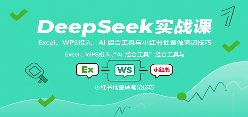 DeepSeek实战课：Excel、WPS接入、AI 组合工具与小红书批量做笔记技巧-800资源网