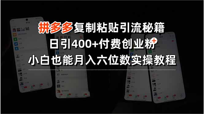 拼多多复制粘贴引流秘籍，日引400+付费创业粉，小白也能月入六位数实操…-800资源网