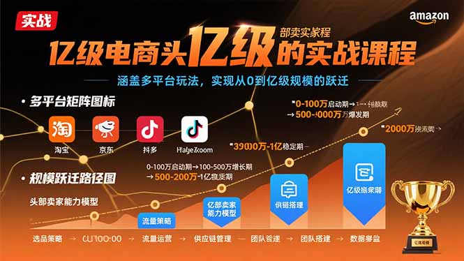 亿级电商头部卖家的实战课程：涵盖多平台玩法，实现从0到亿级规模的跃迁-800资源网