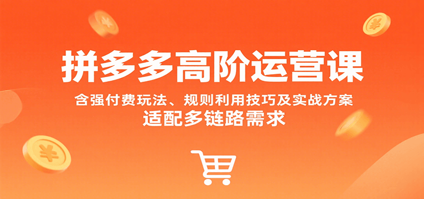 拼多多高阶运营课，含强付费玩法、规则利用技巧及实战方案，适配多链路需求-800资源网