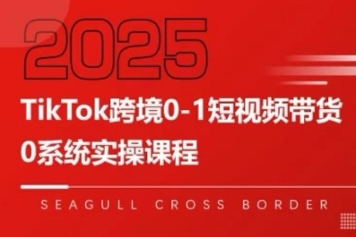 TikTok跨境0-1短视频带货，系统拆解TikTok跨境带货全链路，实现跨境可持续盈利-800资源网