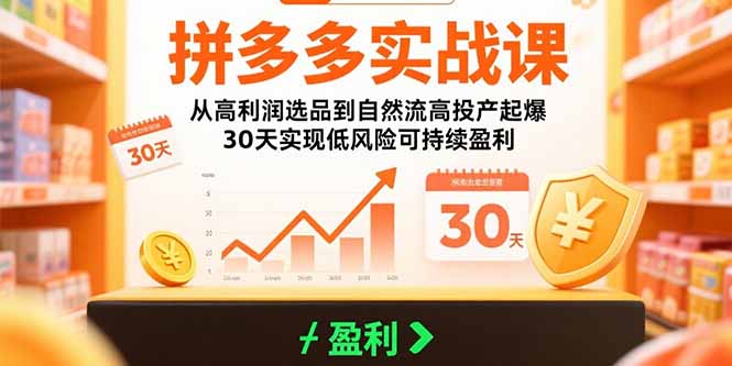 拼多多实战课：从高利润选品到自然流高投产起爆 30天实现低风险可持续盈利-800资源网