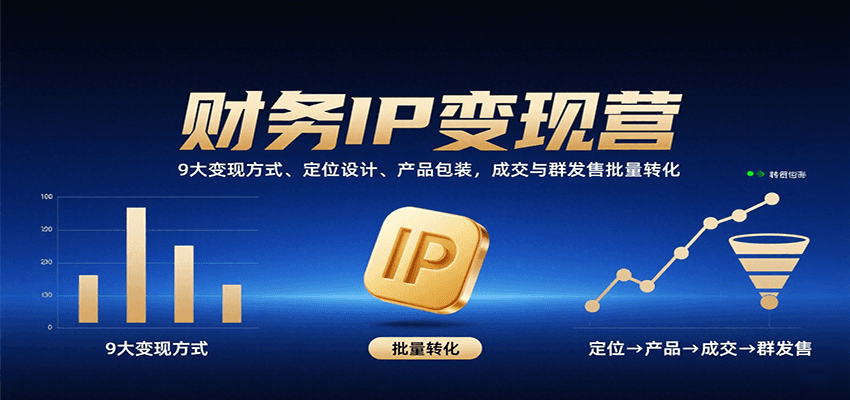 财务IP变现营：9大变现方式、定位设计、产品包装，成交与群发售批量转化-800资源网