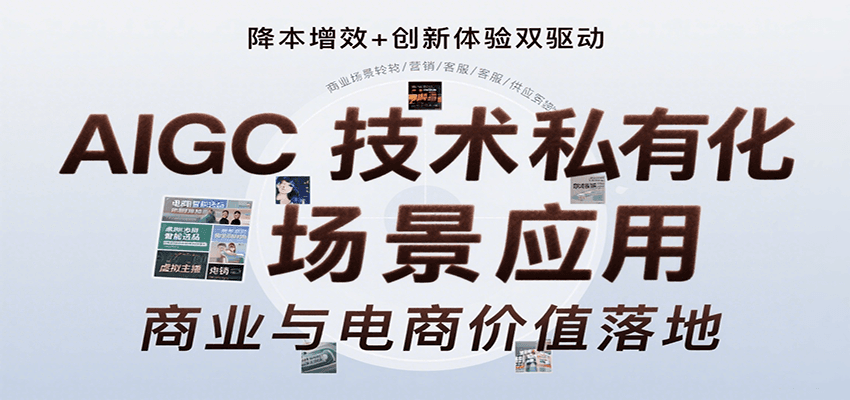 AIGC技术私有化场景应用，内容创作/视觉设计/私有化部署/商业应用/电商运营等-800资源网