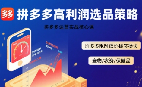 拼多多选品暴利技术实战课，拼多多高利润选品策略，拼多多限时低价标签秘诀-800资源网