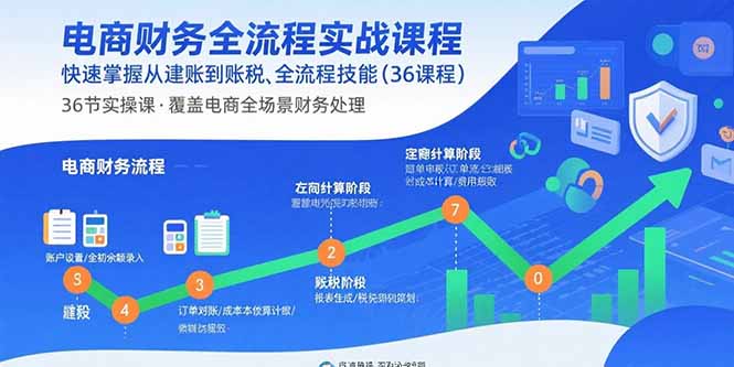 电商财务全流程实战课程:快速掌握从建账到报税的全流程技能(36节课)