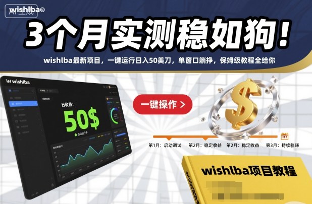 3个月实测稳如狗！wishlba最新项目，一键运行日入50美刀，单窗口躺挣，保姆级教程全给你-800资源网