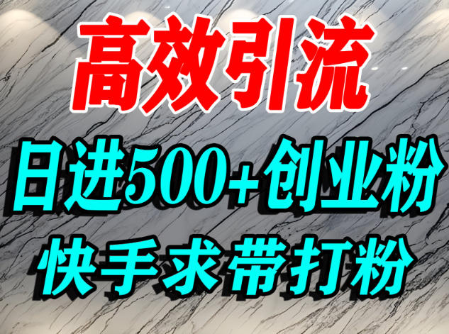 怎么打创业粉？快手求带视角精准引流创业粉，宝妈、学生群体日进500+精准流量-800资源网