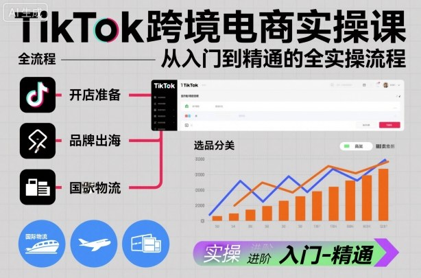 TikTok跨境电商实操课，从入门到精通的全实操流程-800资源网