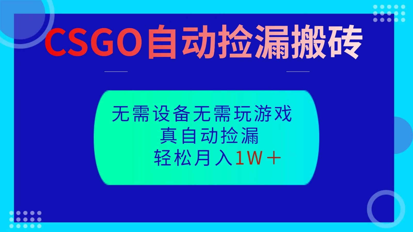 CSGO自动捡漏搬砖，当天操作当天见结果，无需了解游戏，包教包会包落地-800资源网
