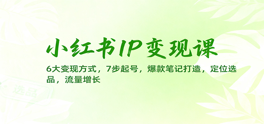 小红书IP变现课：6大变现方式，7步起号，爆款笔记打造，定位选品，流量增长-800资源网