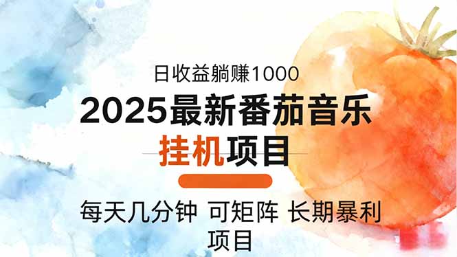 2025年最新番茄音乐人挂机项目，每天几分钟，月入1000＋，可矩阵，一台…-800资源网