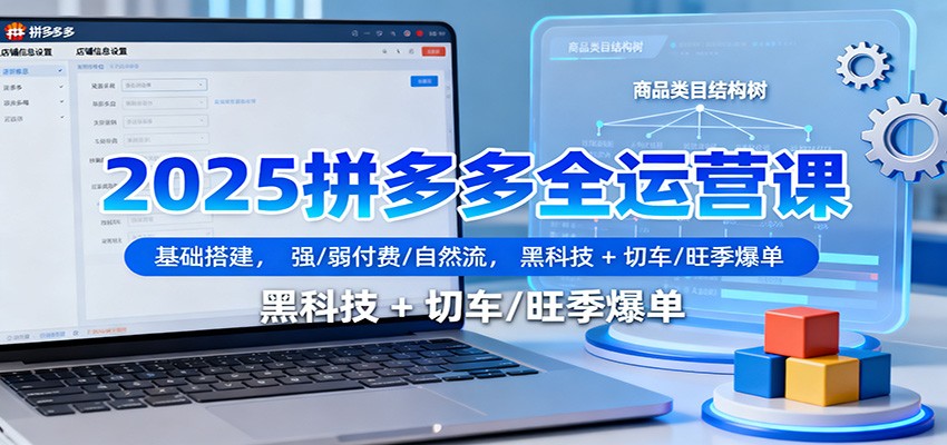 2025拼多多全运营课：基础搭建，强/弱付费/自然流，黑科技 + 切车/旺季爆单-800资源网