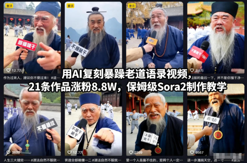 用AI复刻暴躁老道语录视频，21条作品涨粉8.8W，保姆级Sora2制作教学-800资源网