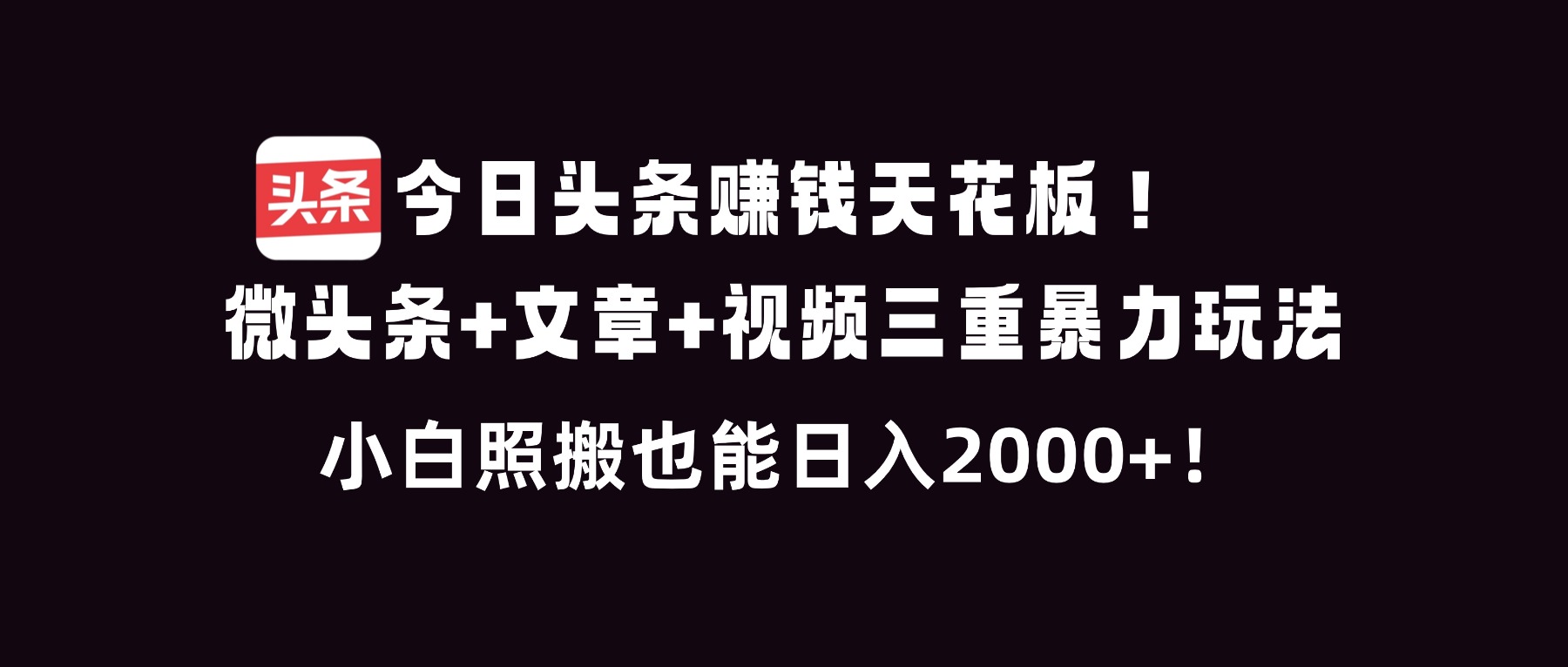今日头条赚钱天花板！微头条+文章+视频三重暴利玩法，小白照搬也能日人2000+-800资源网