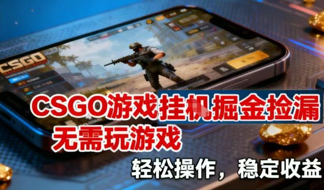 CSGO游戏挂G掘金捡漏，不需要玩游戏，操作简单，收益稳定-800资源网
