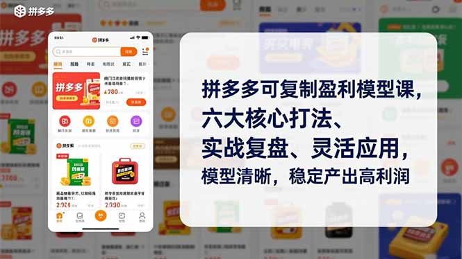 拼多多可复制盈利模型课，六大核心打法、实战复盘、灵活应用，模型清晰，稳定产出高利润-800资源网