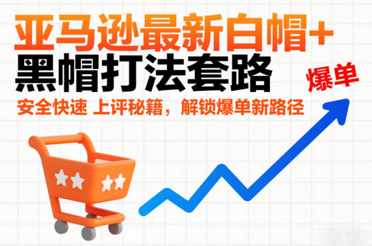亚马逊最新白帽+黑帽打法套路，安全快速上评秘籍，解锁爆单新路径-800资源网