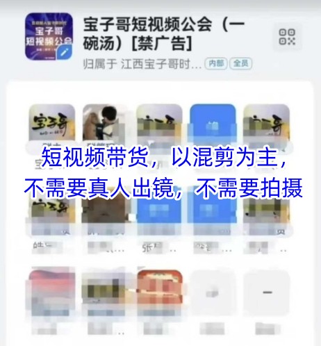 宝子哥头部团队短视频带货，以混剪为主，不需要真人出镜，不需要拍摄【更新12月】-800资源网