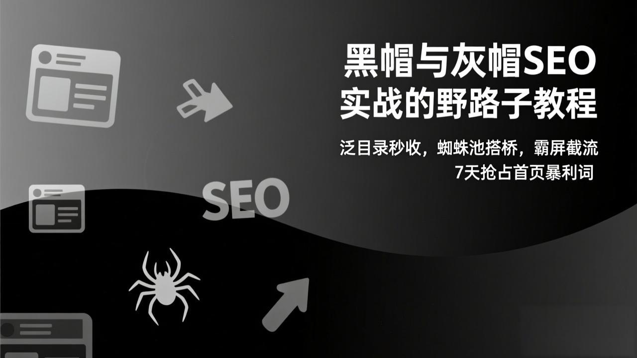 黑帽与灰帽SEO实战的野路子教程：泛目录秒收，蜘蛛池搭桥，霸屏截流，7天抢占首页暴利词-800资源网