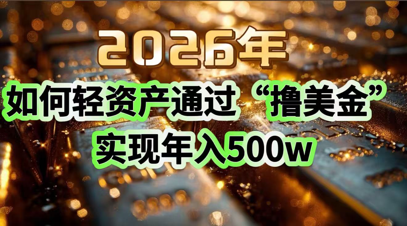 2026年如何轻资产通过“撸美金”实现年入500w-800资源网