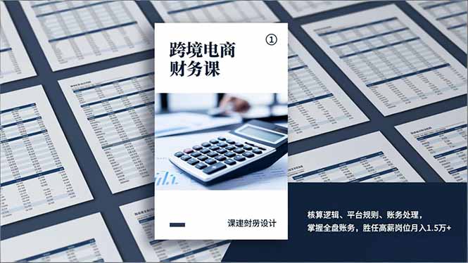 跨境电商财务课，核算逻辑、平台规则、账务处理，掌握全盘账务，胜任高薪岗位月入1.5万+-800资源网