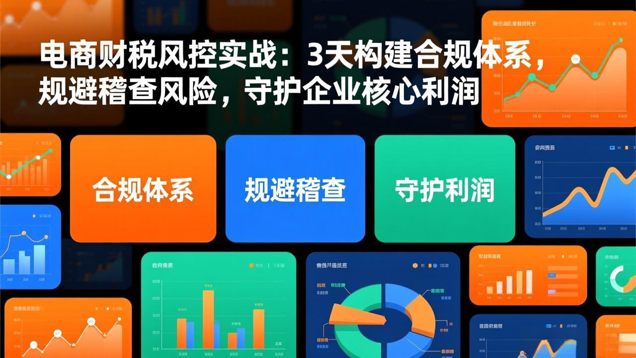 电商财税风控实战：3天构建合规体系，规避稽查风险，守护企业核心利润-800资源网